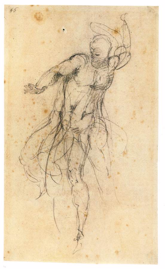 Michelangelo-Buonarroti (116).jpg